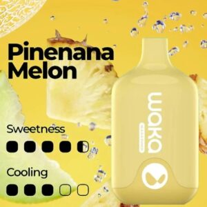 WAKA SMASH PINEAPPLE MELON – 6000 PUFFS