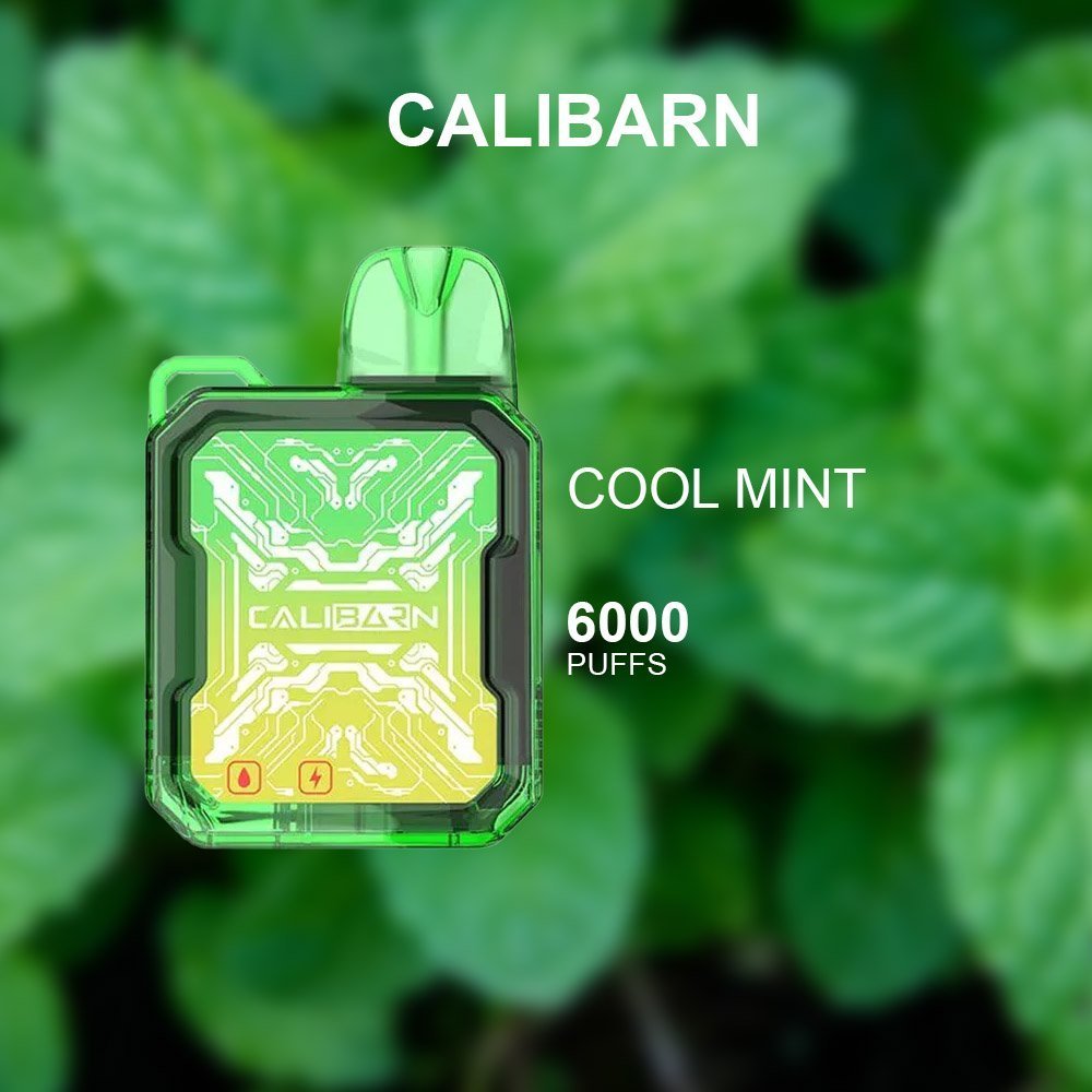 CALIBARN COOL MINT β 6000 PUFFS
